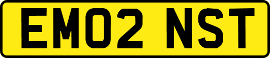 EM02NST