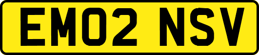 EM02NSV