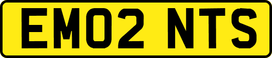 EM02NTS