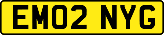 EM02NYG