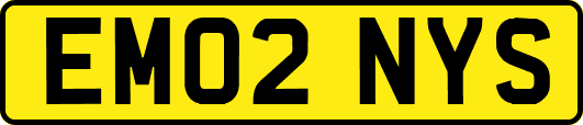 EM02NYS