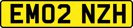 EM02NZH