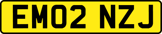 EM02NZJ