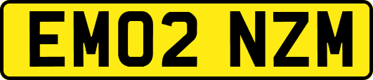 EM02NZM