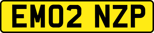 EM02NZP