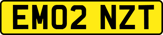 EM02NZT