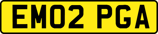 EM02PGA