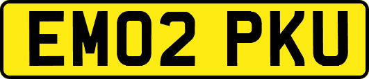 EM02PKU