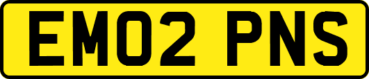EM02PNS