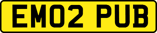 EM02PUB