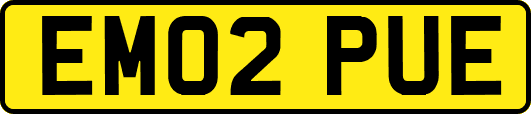 EM02PUE
