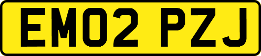 EM02PZJ