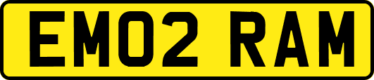 EM02RAM
