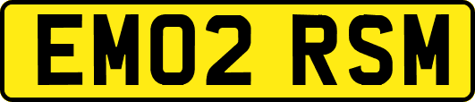 EM02RSM