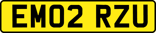 EM02RZU