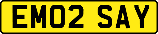 EM02SAY