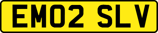 EM02SLV