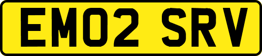 EM02SRV