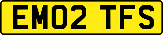 EM02TFS