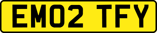 EM02TFY