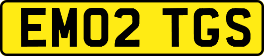 EM02TGS