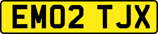 EM02TJX