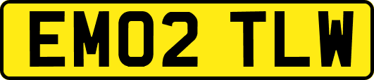EM02TLW