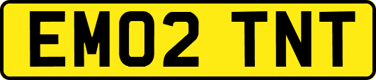 EM02TNT