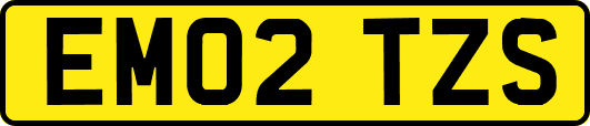 EM02TZS