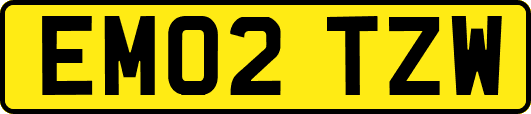 EM02TZW