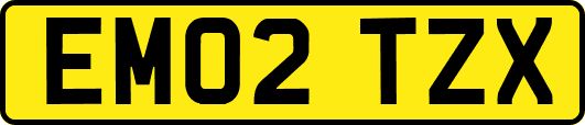 EM02TZX