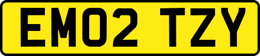 EM02TZY