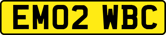EM02WBC