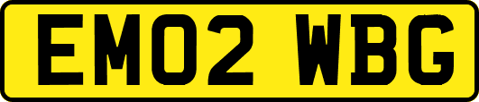 EM02WBG