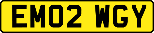 EM02WGY
