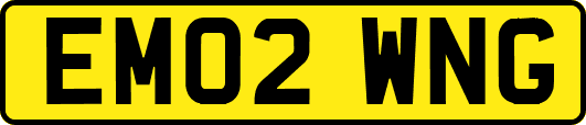 EM02WNG