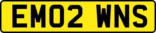EM02WNS