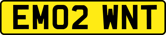 EM02WNT