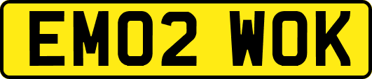 EM02WOK