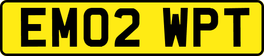 EM02WPT