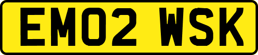 EM02WSK