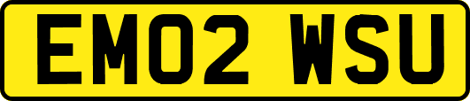 EM02WSU