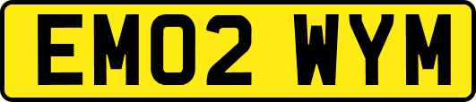 EM02WYM