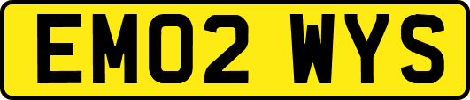 EM02WYS