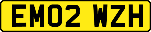 EM02WZH