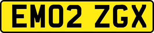 EM02ZGX
