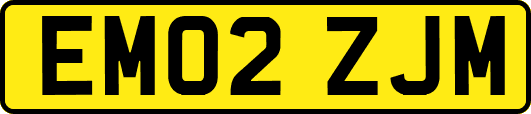 EM02ZJM