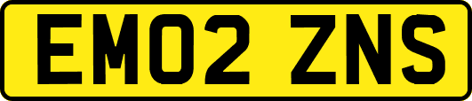 EM02ZNS