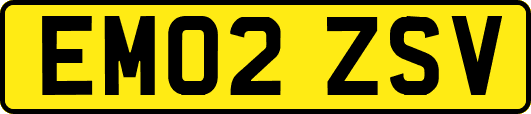 EM02ZSV