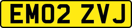 EM02ZVJ
